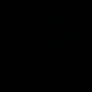 Meet your Posher, Briley